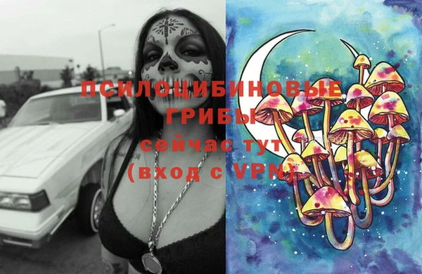 дживик Алексин