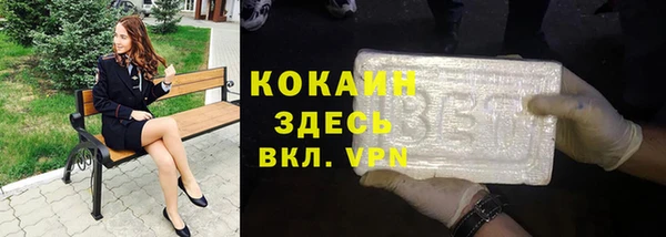 дживик Алексин