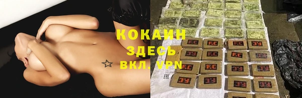 дживик Алексин