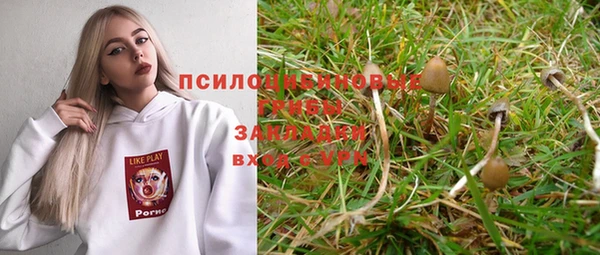 твердый Алексеевка