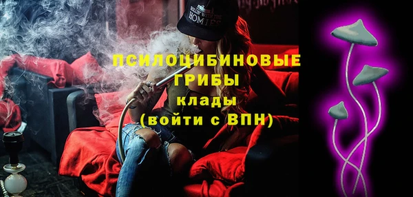 дживик Алексин
